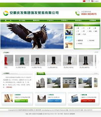 專業(yè)企業(yè)網(wǎng)站建設(shè)方案 龍訊助力網(wǎng)站規(guī)劃設(shè)計(jì)